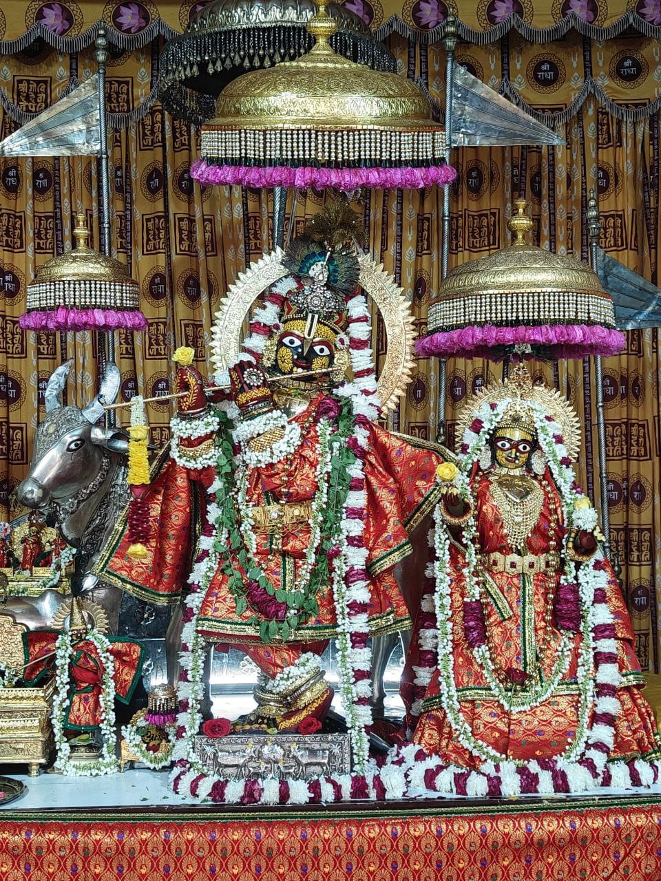 गोविंद देवजी मंदिर में राधा गायत्री महायज्ञ रविवार को गोविंद देवजी मंदिर में राधा गायत्री महायज्ञ रविवार को