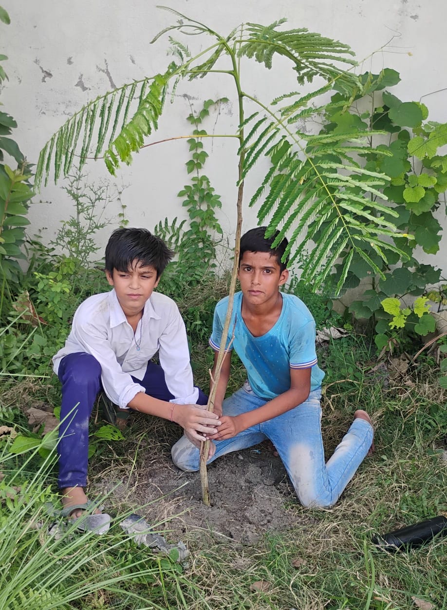 पौधारोपण करते स्कूली छात्र पौधारोपण करते स्कूली छात्र