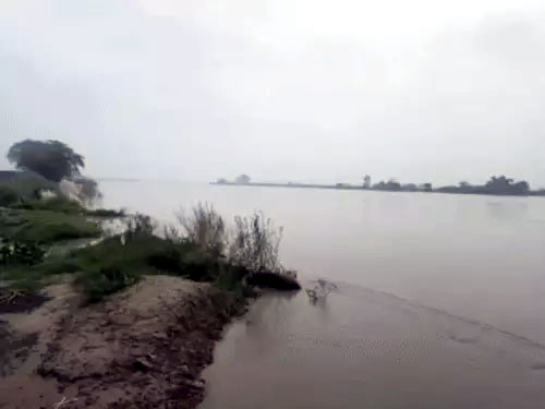 यमुना के जलस्तर में बढ़ोतरी ( गांव मोहना) यमुना के जलस्तर में बढ़ोतरी ( गांव मोहना)