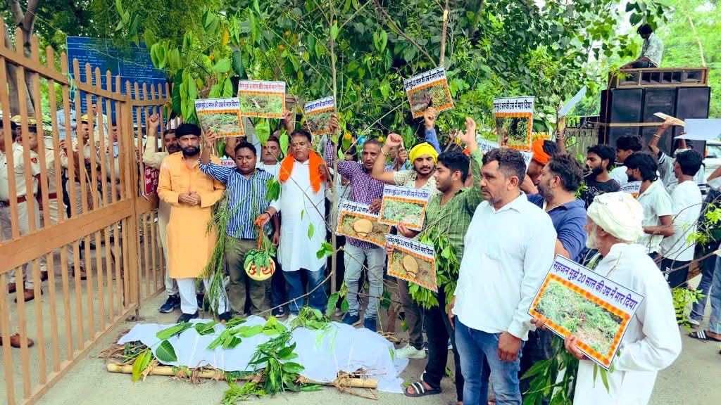 फोटो कैप्शन 29आरटीके2 : पेड काटने के विरोध में लघु सचिवालय के बाहर विरोध प्रदर्शन करते प्रकृति प्रेमी ------- फोटो कैप्शन 29आरटीके2 : पेड काटने के विरोध में लघु सचिवालय के बाहर विरोध प्रदर्शन करते प्रकृति प्रेमी -------