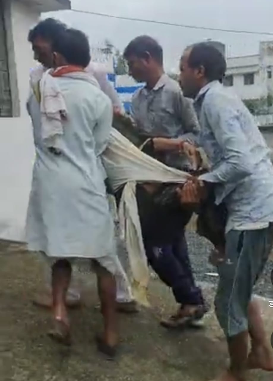 सांप के काटने से बुजुर्ग महिला की मौत सांप के काटने से बुजुर्ग महिला की मौत
