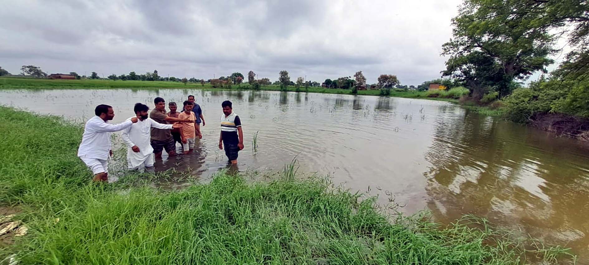 फसलों को हुए नुकसान का जायजा लेने पहुंचे बृजलाल बहबपुरिया।
