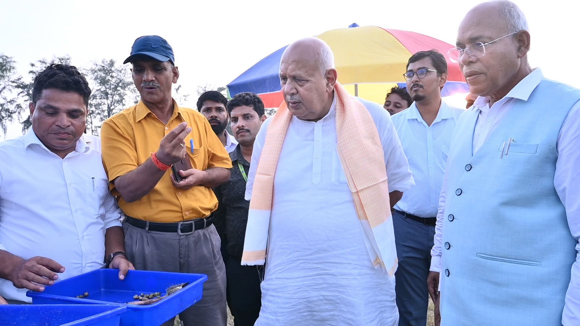 मखाना की खेती मखाना की खेती