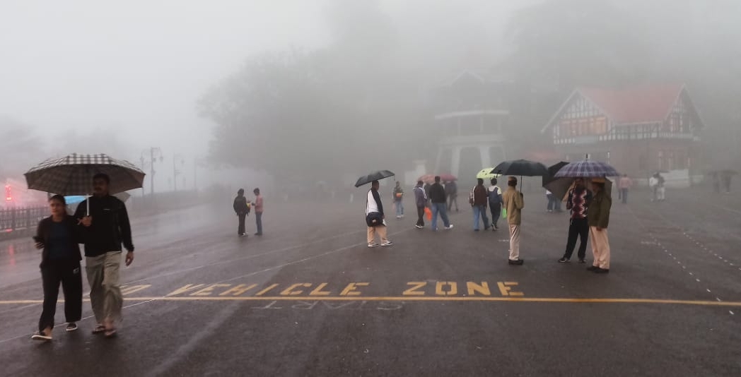शिमला में वर्षा शिमला में वर्षा