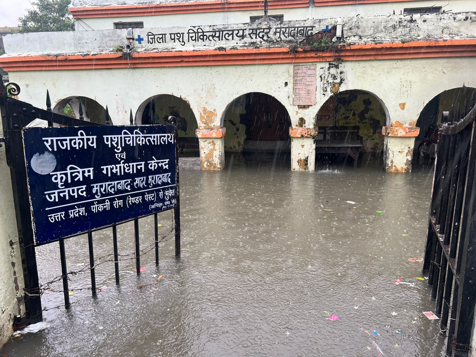 कोर्ट रोड स्थित राजकीय पशु चिकित्सालय परिसर में भरा बारिश का पानी। कोर्ट रोड स्थित राजकीय पशु चिकित्सालय परिसर में भरा बारिश का पानी।