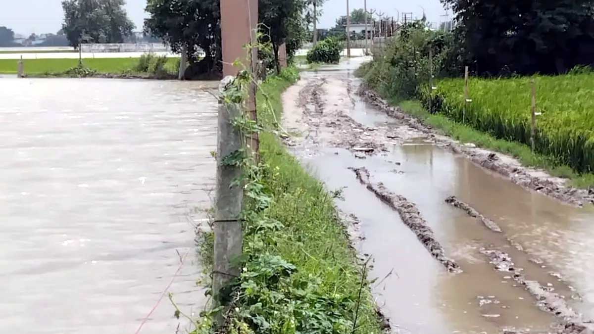 रेनीवेल के रास्ते में जमा हुआ यमुना का पानी रेनीवेल के रास्ते में जमा हुआ यमुना का पानी