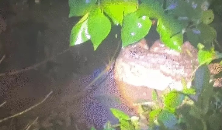 आमेर सागर झील आमेर सागर झील