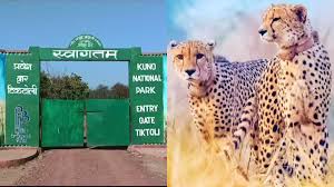 कूनो में होगा कूनो फॉरेस्ट रिट्रीट एवं फेस्टिवल के जरिए बढ़ेगा पर्यटन कूनो में होगा कूनो फॉरेस्ट रिट्रीट एवं फेस्टिवल के जरिए बढ़ेगा पर्यटन
