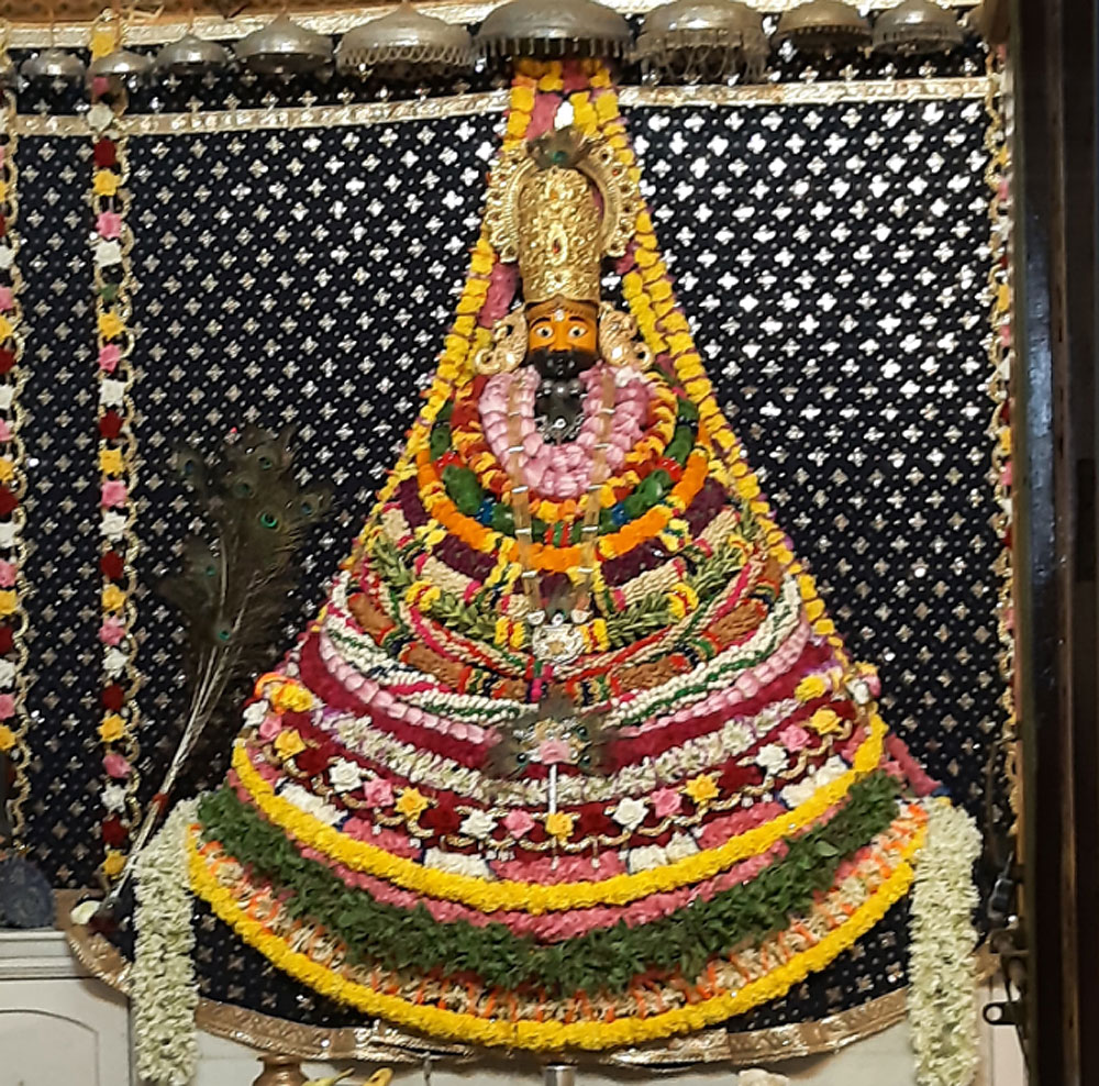 दिल्ली से आए मेवों व पुष्पों से सजा बीकानेर का खाटू श्याम मंदिर, भक्ति से सराबोर हुआ माहौल दिल्ली से आए मेवों व पुष्पों से सजा बीकानेर का खाटू श्याम मंदिर, भक्ति से सराबोर हुआ माहौल