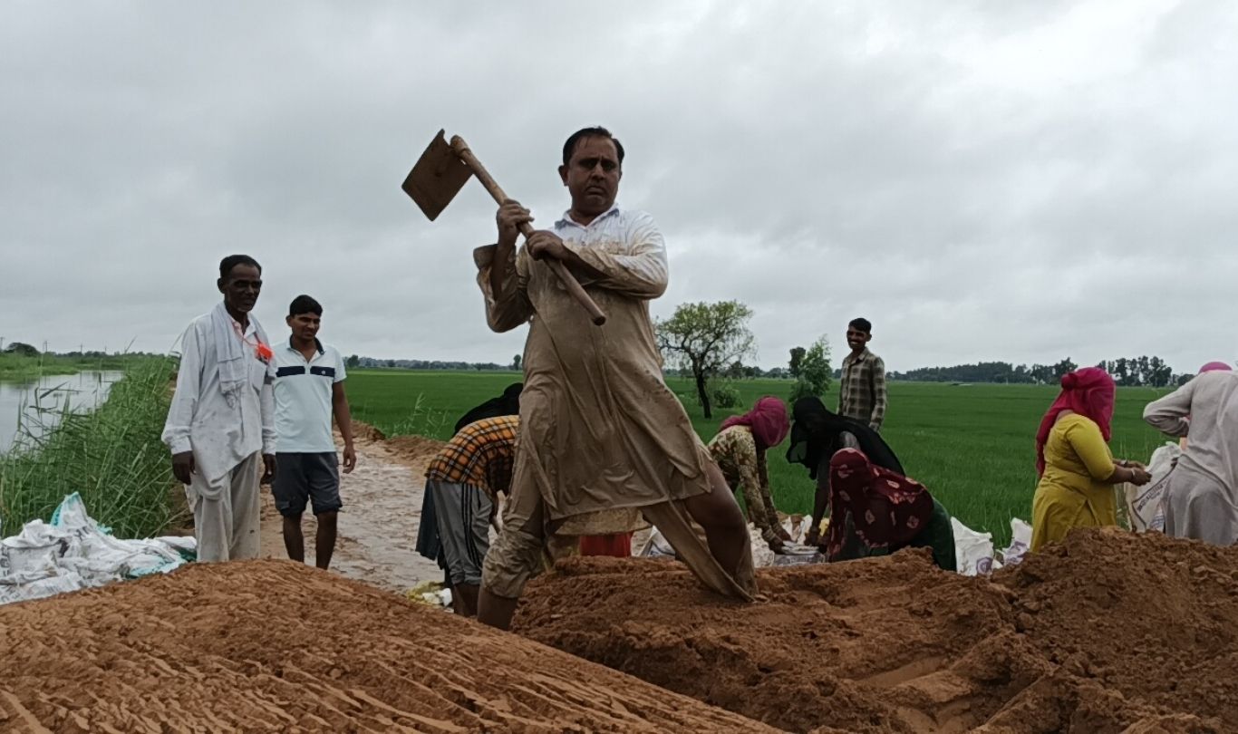 ओवरफ्लो हुए सेमनाला को मजबूत करते ग्रामीण। ओवरफ्लो हुए सेमनाला को मजबूत करते ग्रामीण।