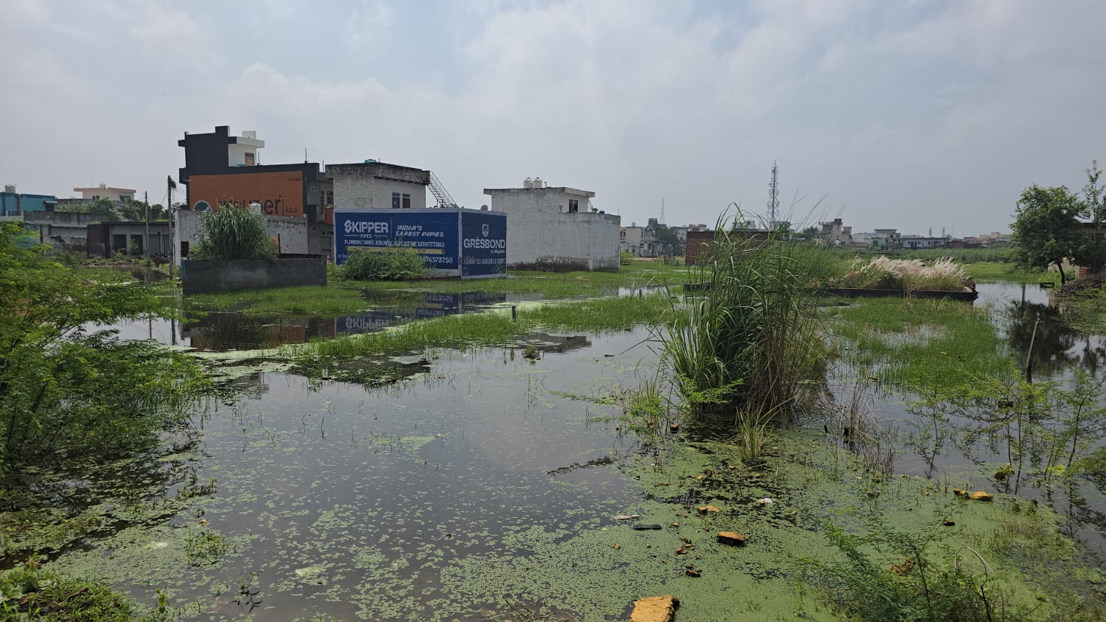 गांव माजरा दूबलधन की मंडी सहित सभी सार्वजनिक प्रतिष्ठानों मैं भी पानी का कब्जा।