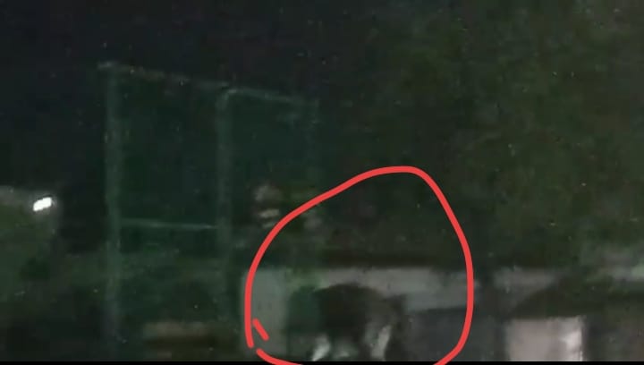 नगर के बाहर निकलता