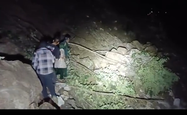 वन विभाग के टीम ने रात्रि में राहगीरों को पहुंचाया सुरक्षित।।