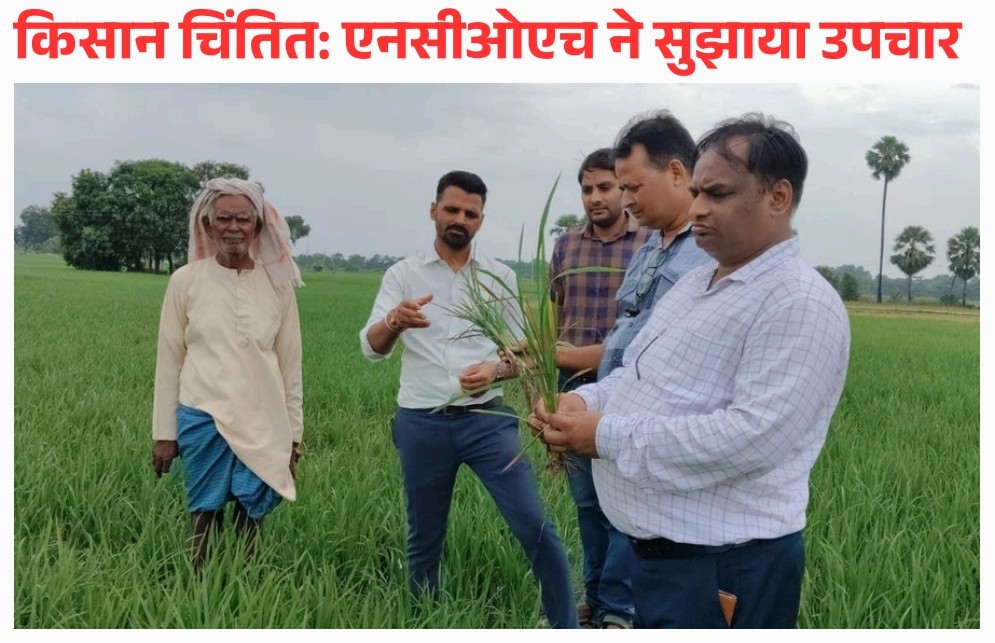 फ़सल का उपचार सुझाव देते वैज्ञानिक फ़सल का उपचार सुझाव देते वैज्ञानिक