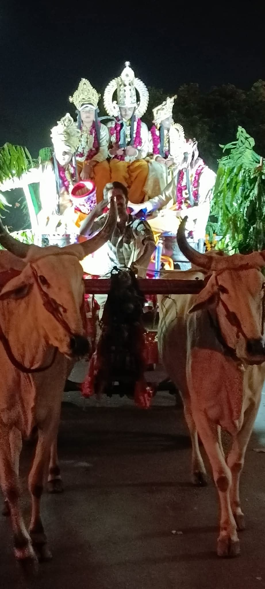 भादवा तेरस पर धूमधाम से निकली भरत मिलाप परिक्रमा भादवा तेरस पर धूमधाम से निकली भरत मिलाप परिक्रमा