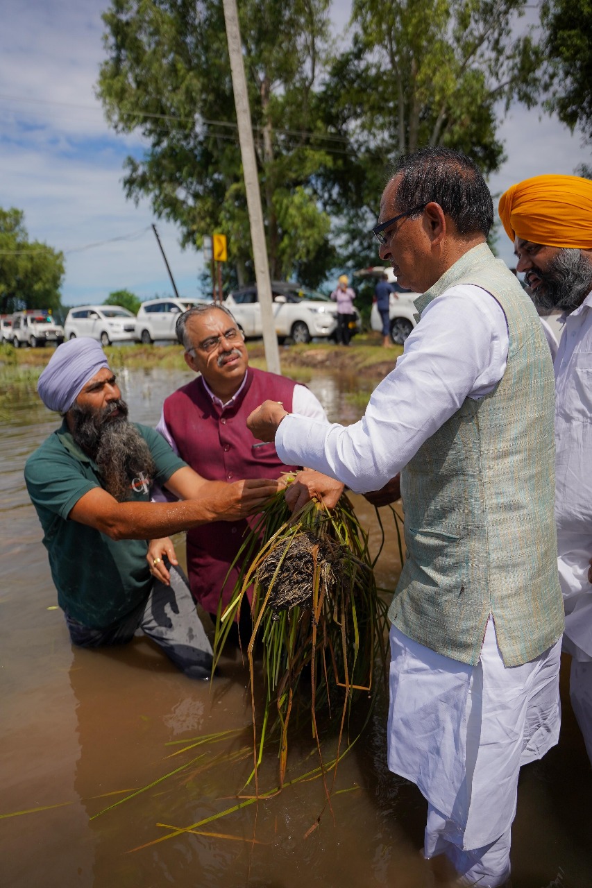 केंद्रीय मंत्री शिवराज चाैहान पंजाब में बाढ़ से नष्ट फसलाें का जायजा लेते हुए केंद्रीय मंत्री शिवराज चाैहान पंजाब में बाढ़ से नष्ट फसलाें का जायजा लेते हुए