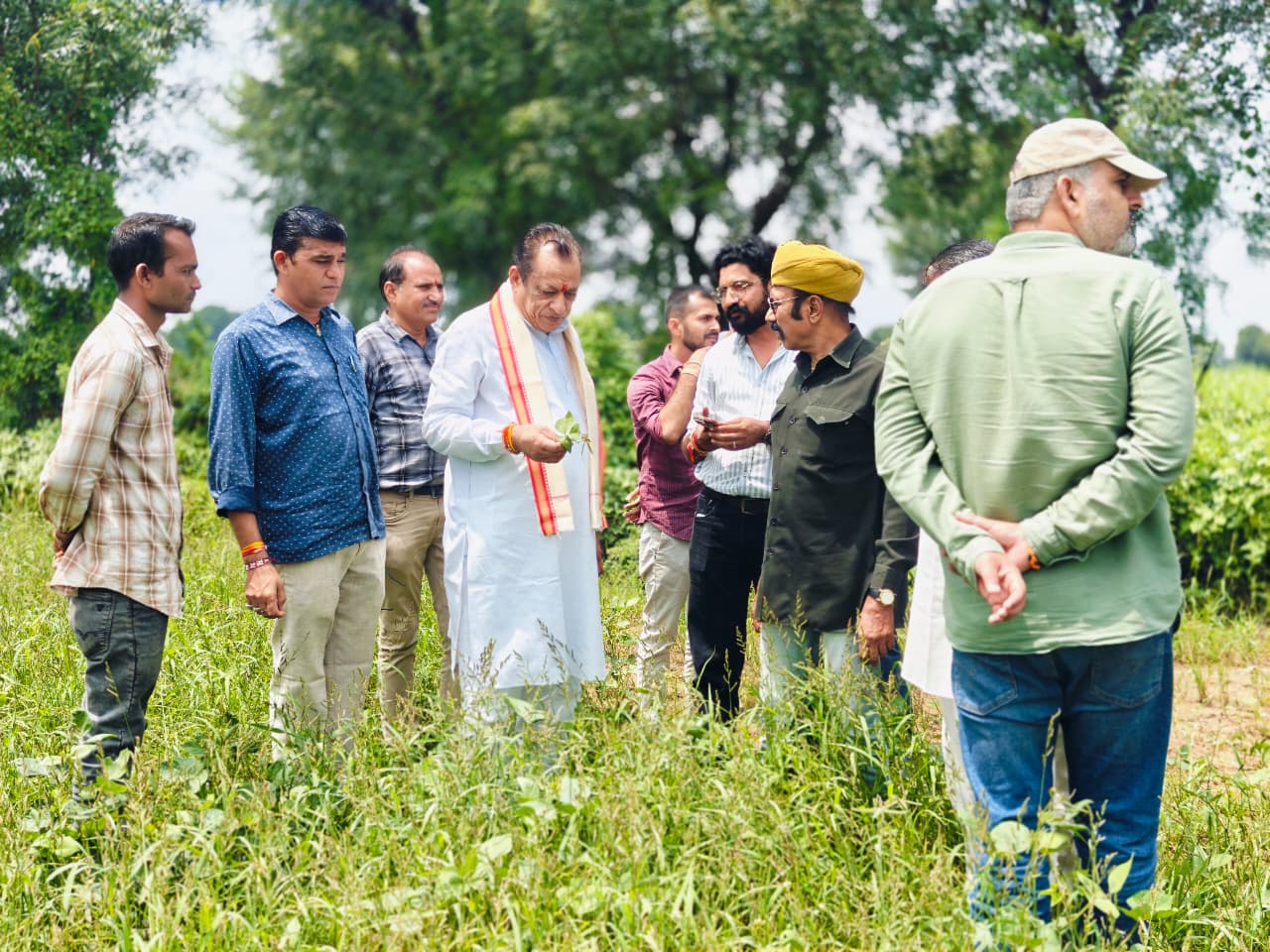 अतिवृष्टि प्रभावित फसलों का जल्द करें आंकलन : कुमावत अतिवृष्टि प्रभावित फसलों का जल्द करें आंकलन : कुमावत