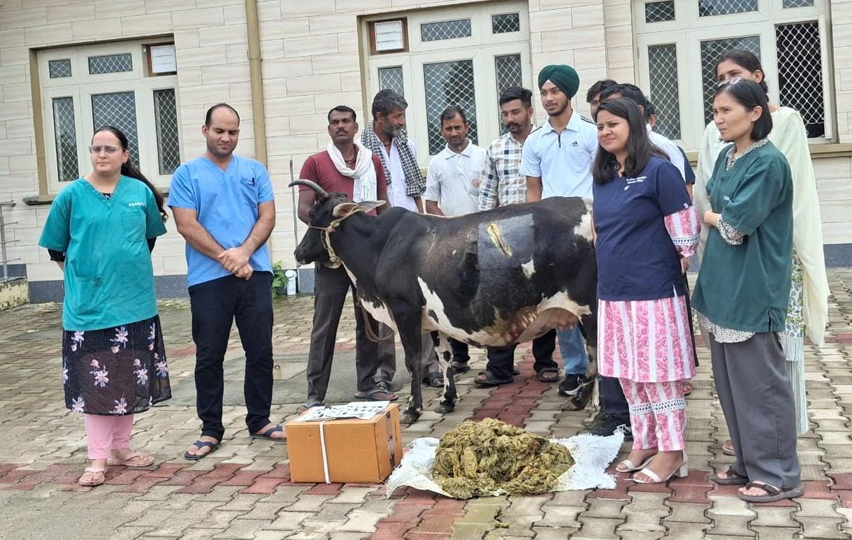 ऑपरेशन के दौरान।
