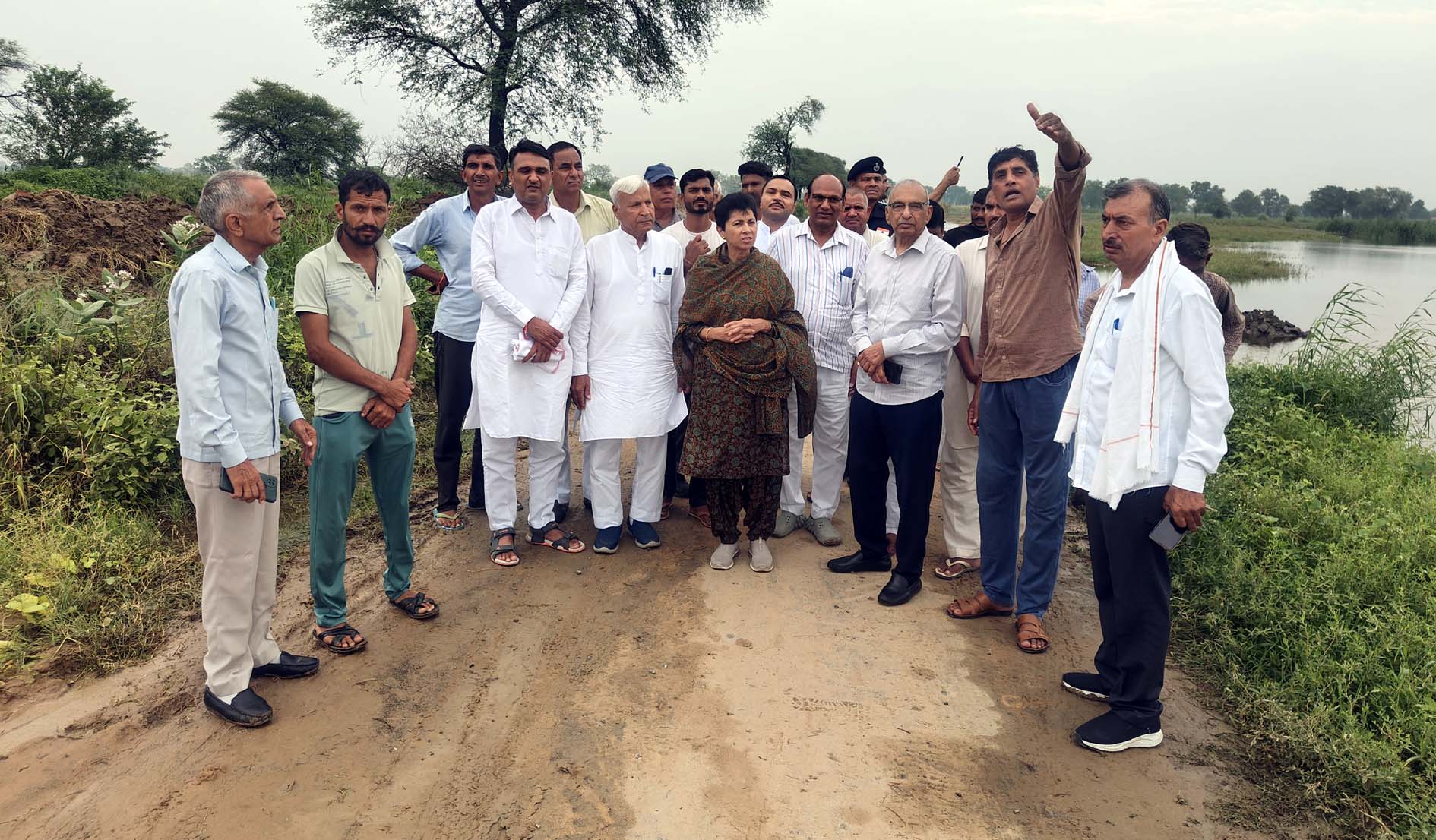 फसलों का निरीक्षण करते सैलजा, संपत सिंह व अन्य नेता। फसलों का निरीक्षण करते सैलजा, संपत सिंह व अन्य नेता।