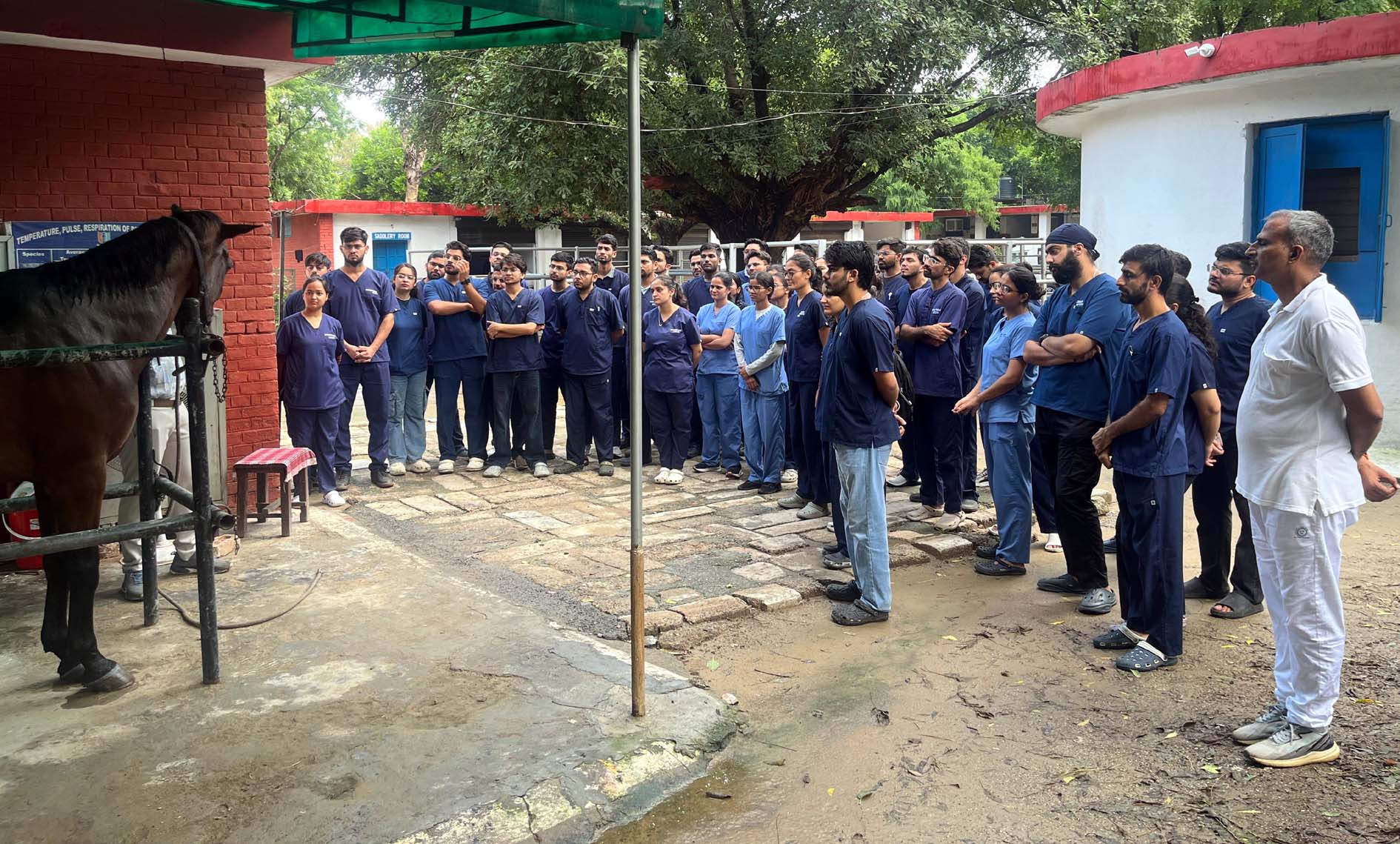 प्रशिक्षण के दौरान घोड़ों बारे जानकारी लेते हुए।