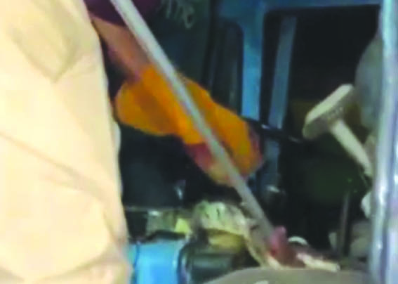 अजगर का रेस्क्यू करते हुए अजगर का रेस्क्यू करते हुए