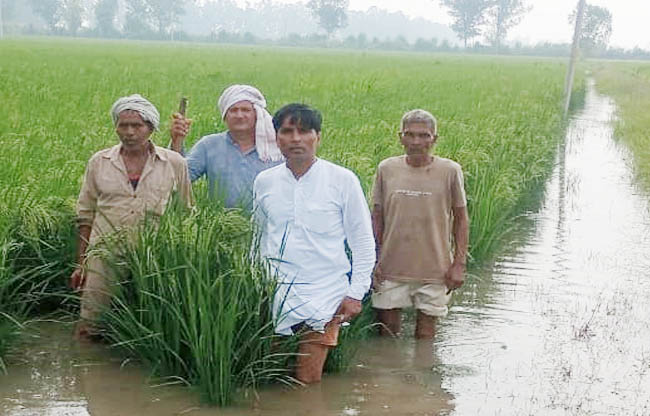 सोनीपत: ड्रेन टूटने से सैकड़ों एकड़ जमीन जलमग्न सोनीपत: ड्रेन टूटने से सैकड़ों एकड़ जमीन जलमग्न