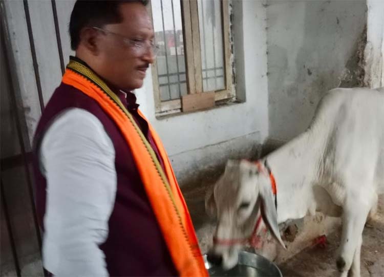 मुख्यमंत्री विष्णुदेव साय गाय काे राेटी व गुड् खिलाते हुए