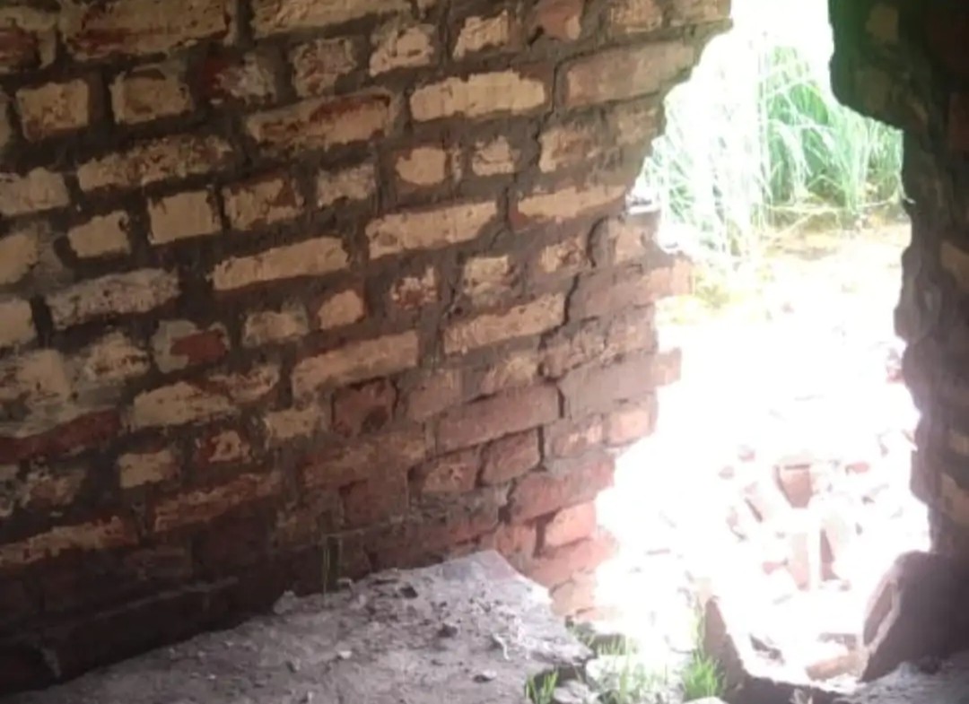 पानीपत के गांव कैथ में बारिश से गिरी दीवार पानीपत के गांव कैथ में बारिश से गिरी दीवार