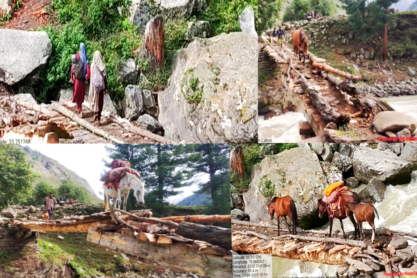 मारवाह में फंसे आदिवासी परिवारों को बचाया गया
