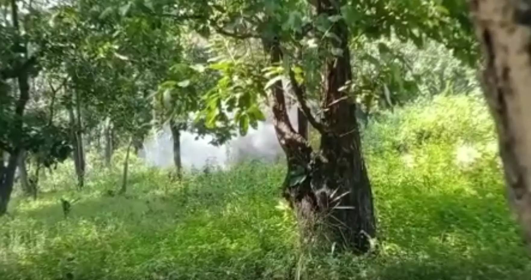 बीजापुर में सुरक्षाबलों ने बरामद विस्फोटक को किया निष्क्रिय