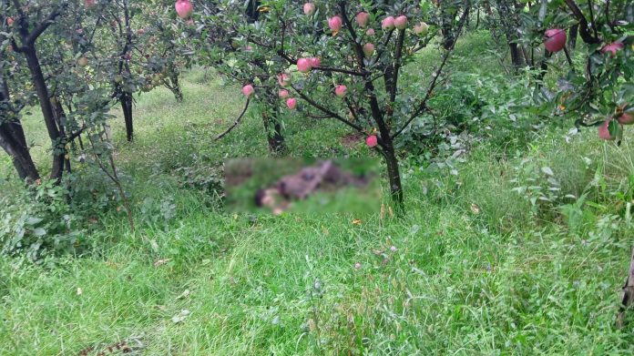 कुलगाम मुठभेड़ में एक आतंकवादी ढ़ेर, एक सैन्य अधिकारी घायल कुलगाम मुठभेड़ में एक आतंकवादी ढ़ेर, एक सैन्य अधिकारी घायल