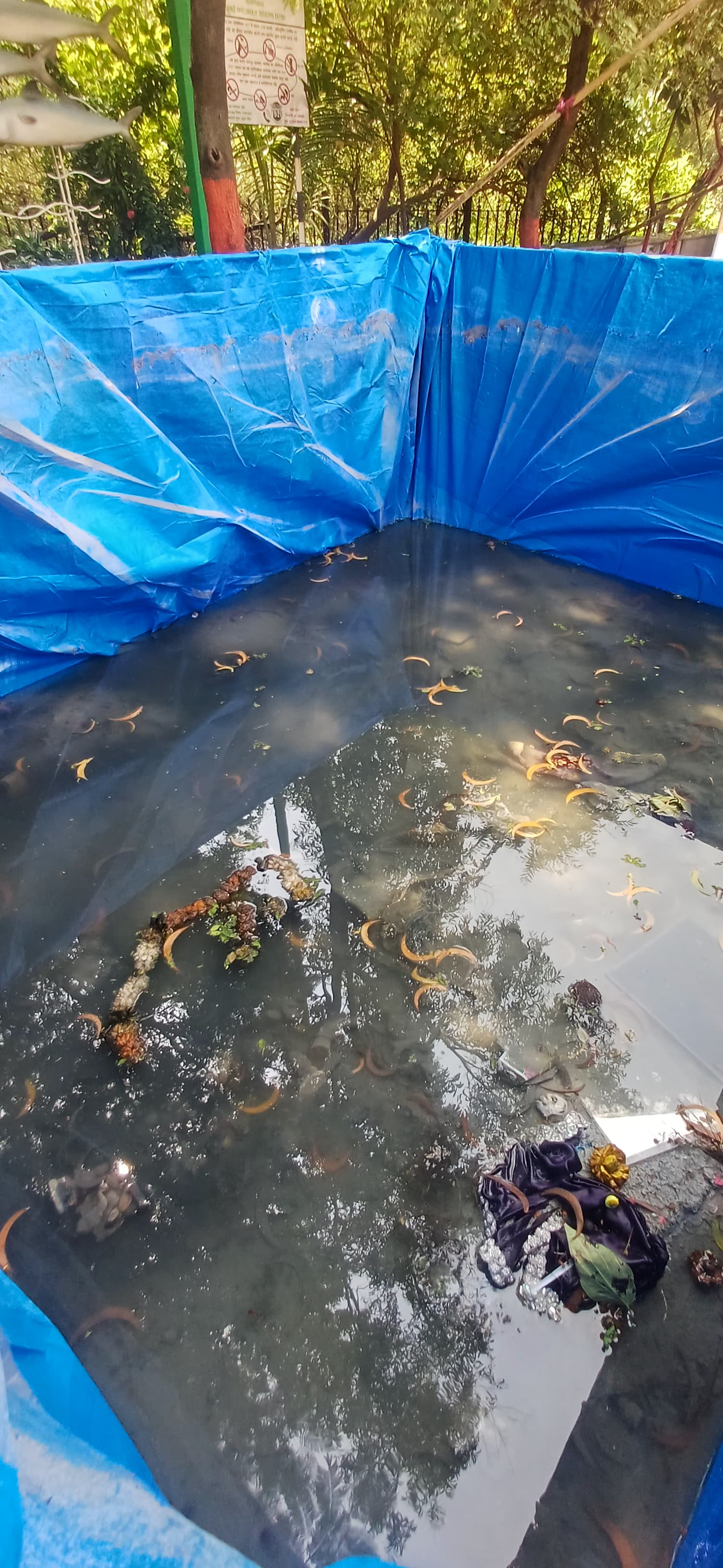 Artificial lake ponds in Thane inviting dangue