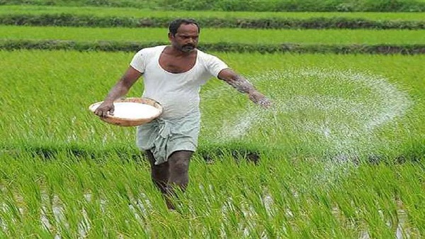 प्रतीकात्मक फोटो प्रतीकात्मक फोटो