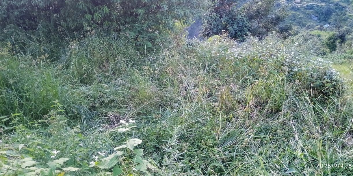 फसलों की सुरक्षा को लेकर लगे चैन फैसिंग योजना
