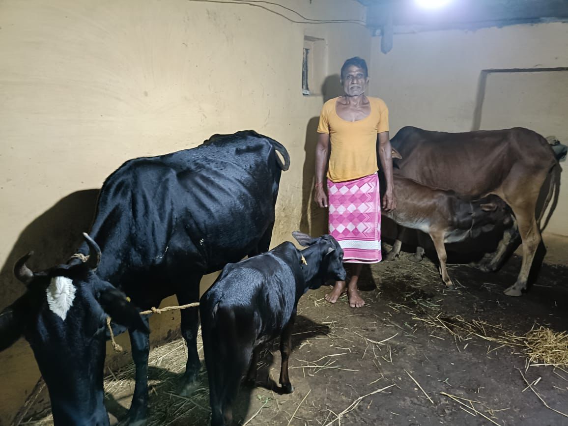 योजना का लाभ लेकर पशुपालन कर रहे ग्रामीण।