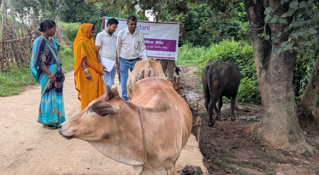 चिकित्सा के दौरान उपस्थित चिकित्सक