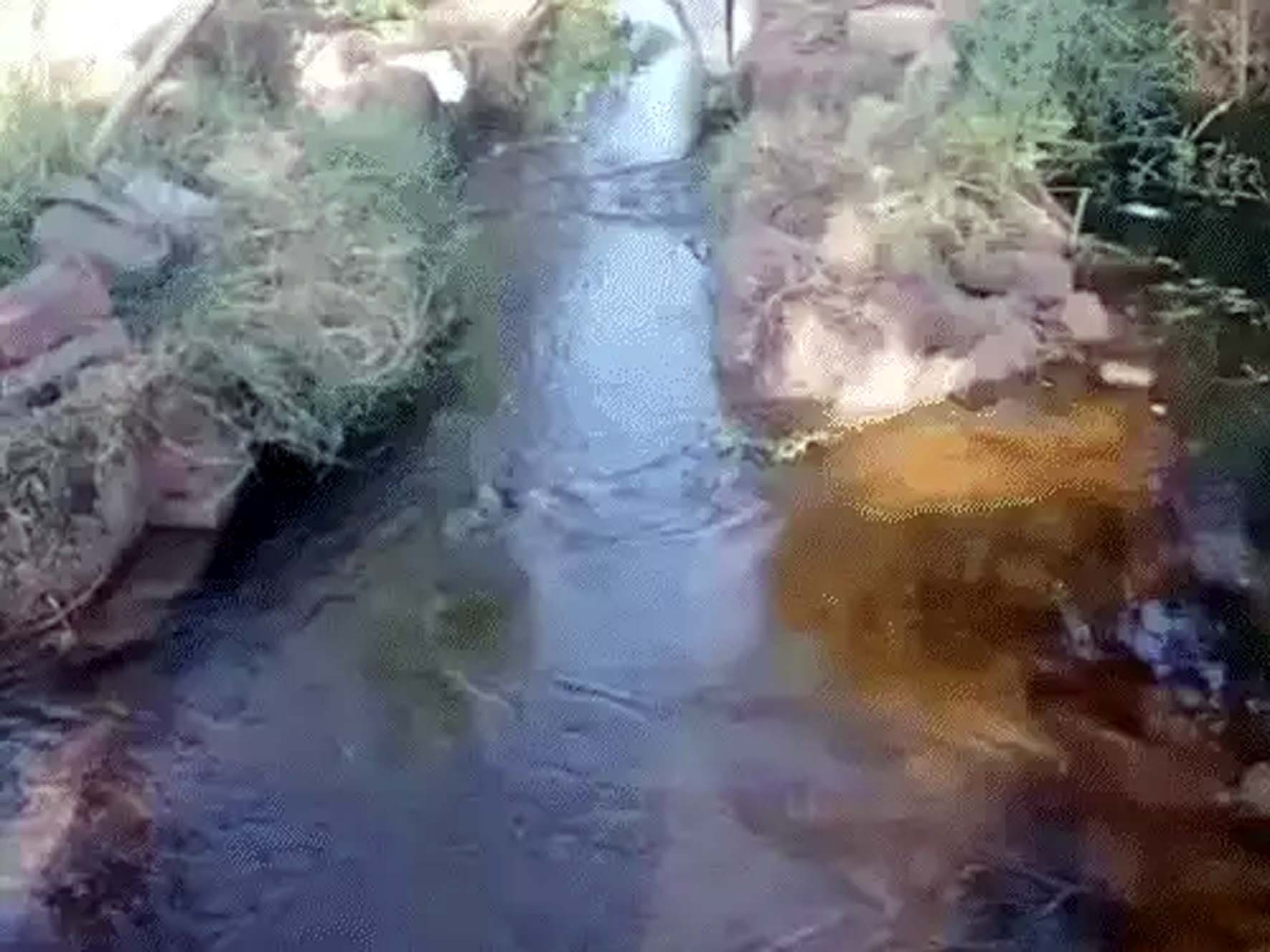 मिर्जापुर में तोड़ा गया खाल।