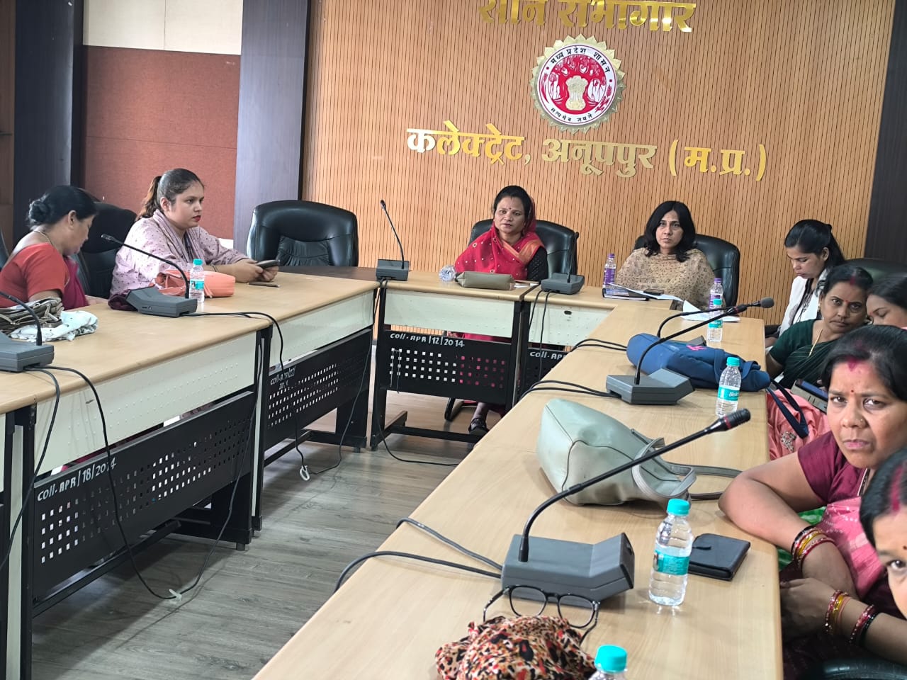 कार्यक्रम में जिला पंचायत अध्यक्ष प्रीति सिंह