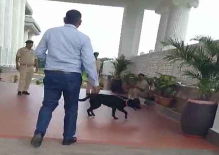 जांच करते टीम जांच करते टीम