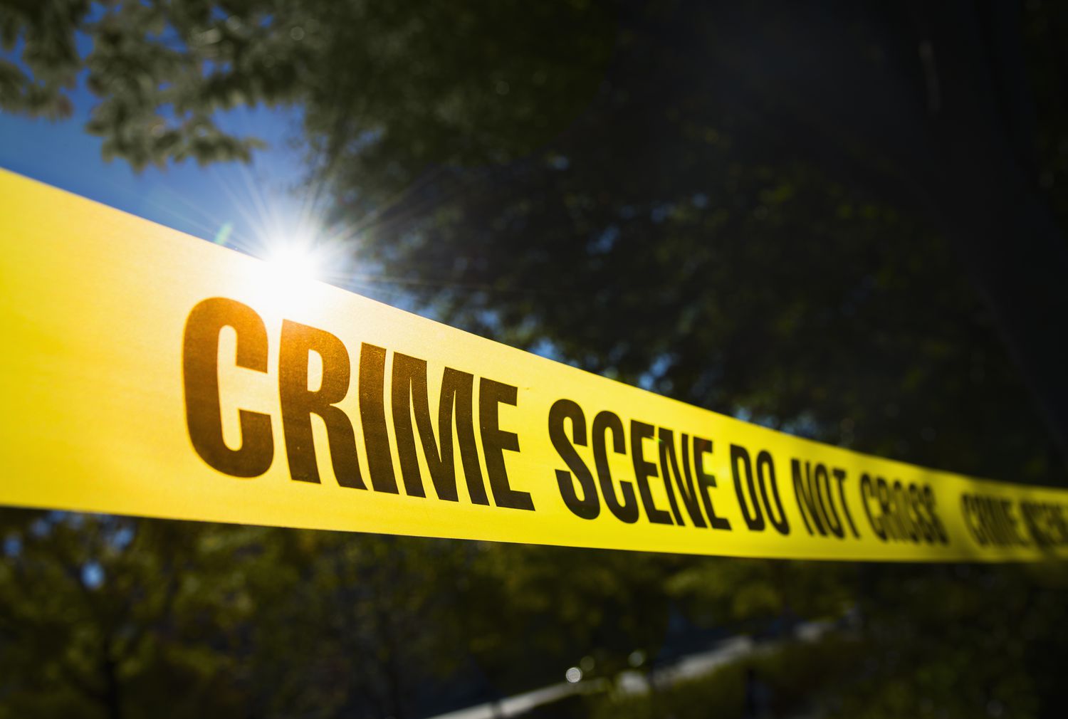 Crime Crime