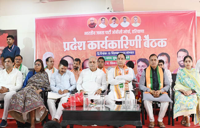 सोनीपत: भाजपा कार्यालय में प्रदेश स्तरीय ओबीसी मोर्चा कार्यकारिणी बैठक में उपस्थित नेता व कार्यकर्ता