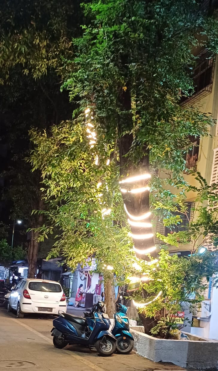 Electricity lights of tree dangerous environment