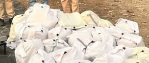 भारत-नेपाल सीमा पर 101 किलो गांजा बरामद