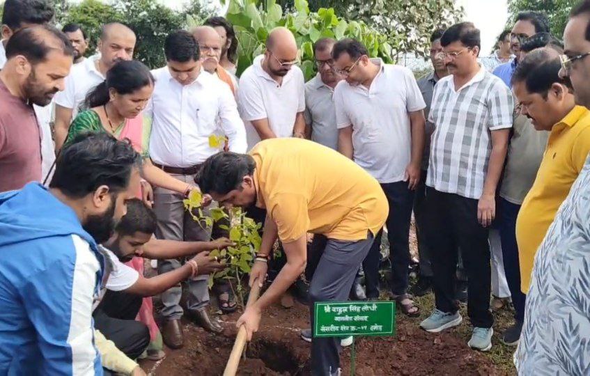 दमोह-नमो के जन्मदिन पर दमोह सांसद राहुल लोधी ने उठाया कचडा,वृक्षारोपण भी किया