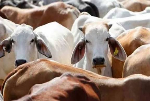 प्रतीकात्मक छवि