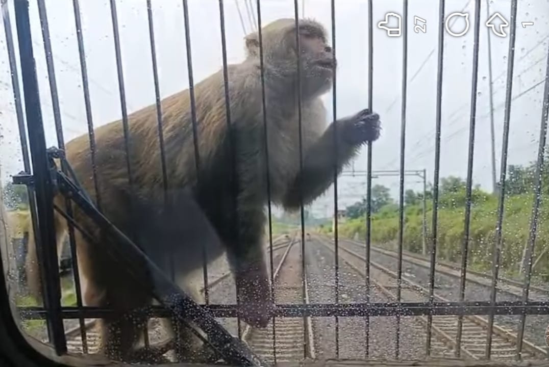 ट्रेनों के इंजन में चढ़ा बंदर ट्रेनों के इंजन में चढ़ा बंदर
