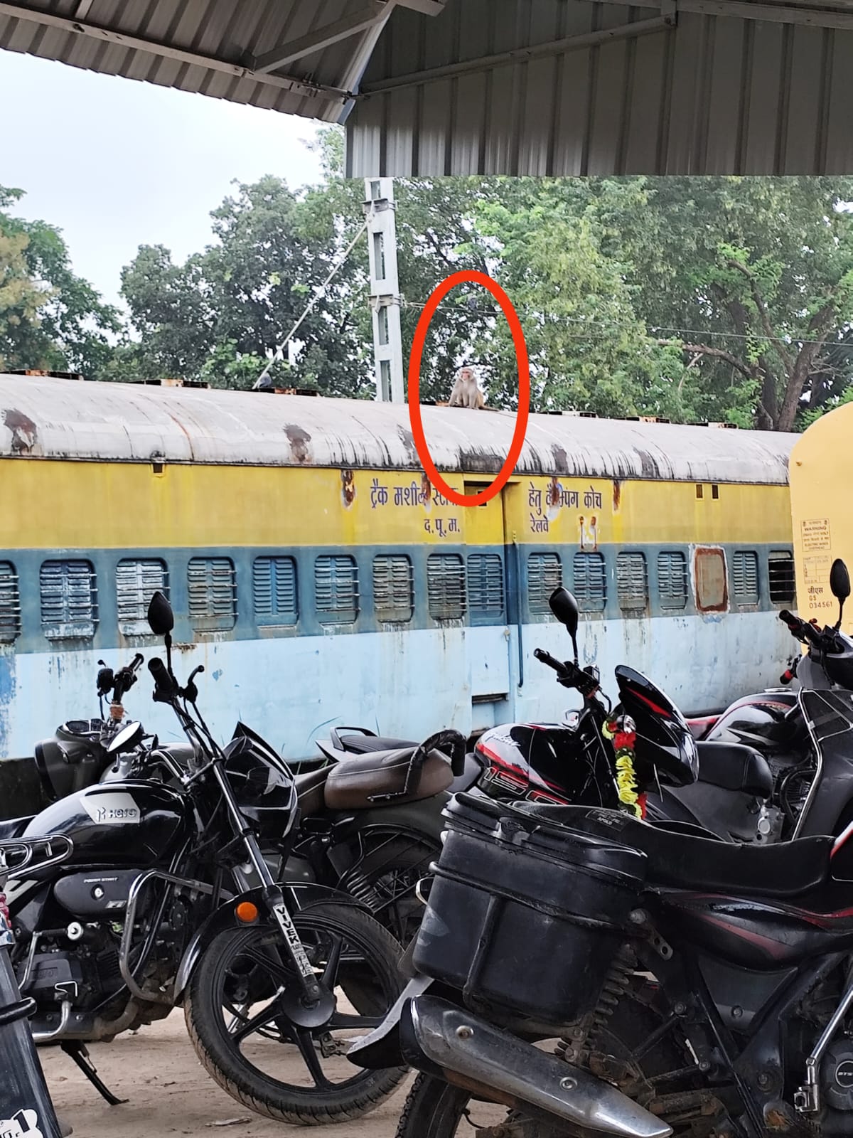 ट्रेनों के उपर चढा बंदर ट्रेनों के उपर चढा बंदर