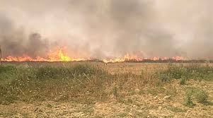Seoni: Prohibitory orders issued for stubble burning in the district