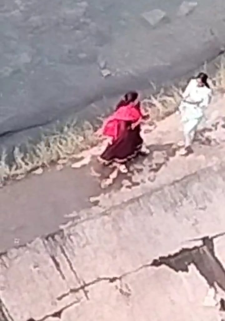 दो महिलाओं की तस्वीर
