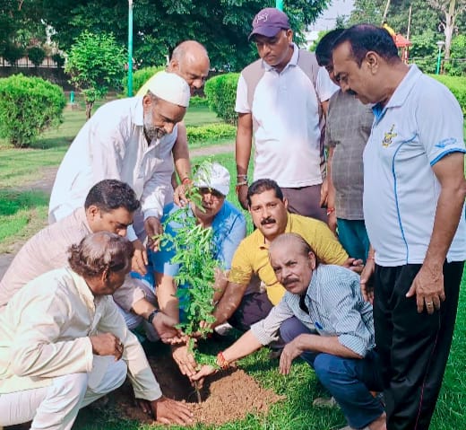 भाजपा ओबीसी मोर्चा ने किया वृक्षारोपण अभियान का शुभारंभ